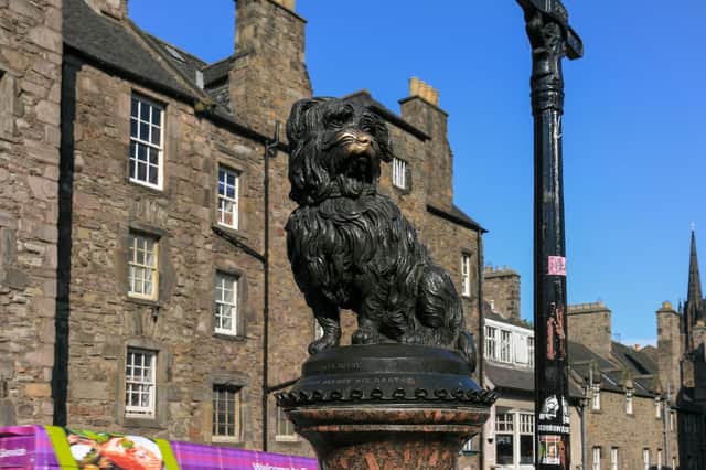 1873 - the year a memorial statue was erected in Edinburgh to Greyfriars Bobby, the faithful dog who slept on his master’s grave for 14 years.