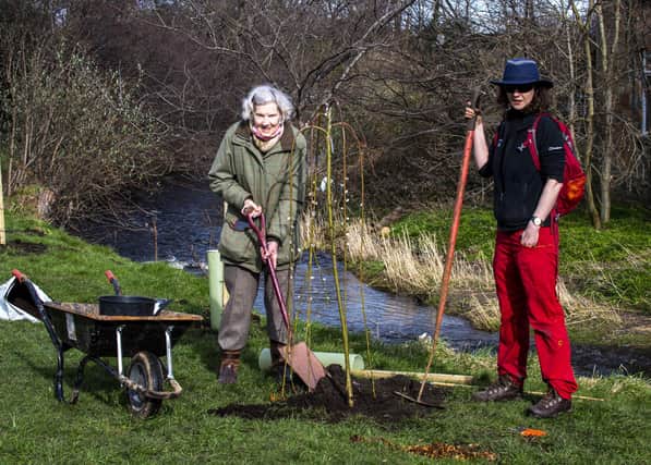 Lady Jennifer Bute and with Ruthe Davies Edinburgh City Council's trees and woodlands officer   Picture: Lisa Ferguson




On March 15 Edinburgh City Councilâ€™s Forestry Department will be planting a collection of exciting trees and shrubs in this little park which runs between the Water of Leith and Arboretum Road.



As the UK has a critically low level of tree cover, which is needed to mitigate climate change, this small contribution will not only beautify this little park but assist in removing greenhouse gas emissions.



"The trees and shrubs chosen are a mix of native and select horticultural species, including Acer, Stewartia (originally Stuartia), Gingko, Metasequoia, Salix, Davidia, Magnolia and Cornus, as well as a lovely Rosa 'Mary Queen of Scots', not to mention a wealth of other trees and shrubs. The new plantings will be labelled to permit park users to both enjoy and learn about the species. These plants have been gifted to the City by Lady Jennifer Bute, who lives near the park; she welcomes enthusiastic locals to volunteer to assist with the watering during drier periods of spring and summer while the new plantings establish (a portable bowser is available).



There will be a celebratory â€˜Opening Partyâ€™, once the Covid restrictions are relaxed, performed by Simon Milne MBE, Regius Keeper of Royal Botanic Gardens, Edinburgh.  Will Hinchliffe has assisted with the design and Helen Thompson  with the handsome labels which are very generously being supplied by RBGE.