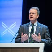 The constitution is a reserved issue no matter what “wheeze” the First Minister announces on her proposed route to a second independence referendum next week, Scottish Secretary Alister Jack has said.