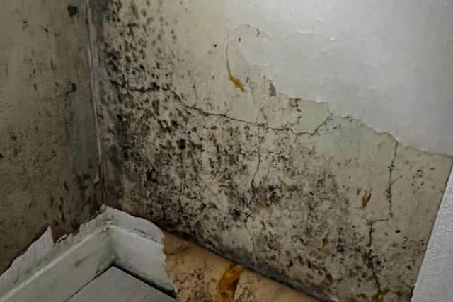 The mould is in every room in the council flat