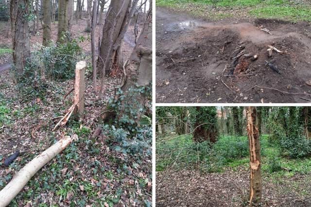 Magdalene Woods, within the grounds of the Newhailes National Trust Estate, was targeted by vandals this week.