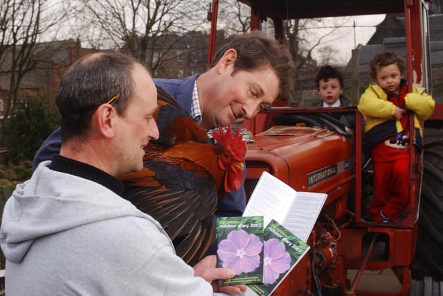 Farm manager Rex Jeffreys and assistant Niall Sandilands allow a Well Summer Cockrell a preview of a summer Lothian Outdoor Diary while at the Farm, Edinburgh; February 28, 2003. The Diary, published by Scottish Natural Heritage, features Gorgie City Farm and 53 other sites throughout the Lothian Region.