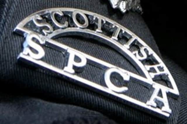 The Scottish SPCA has appealed for information
