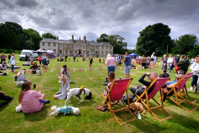 Dog owners relaxing with their pets at last year's Doghailes event.