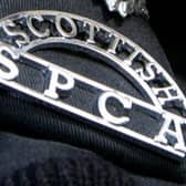 The Scottish SPCA is urging dog owners in Dunfermline to be vigilant after a dog ate rat poison on Hogmanay.