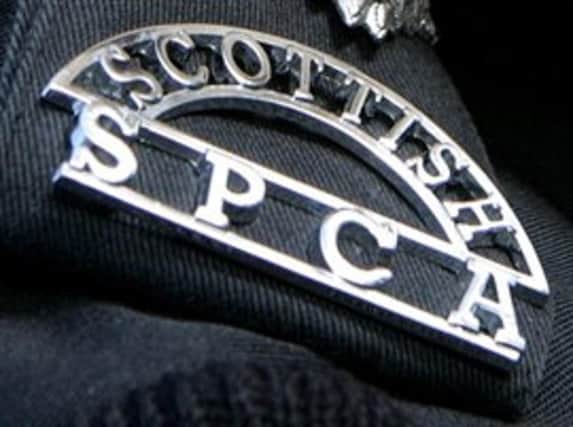 The Scottish SPCA is urging dog owners in Dunfermline to be vigilant after a dog ate rat poison on Hogmanay.