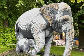 The African Elephant and its calf is one of the largest models in the exhibition - requiring five builders to work 1,600 hours to complete. It is made from 149,071 bricks