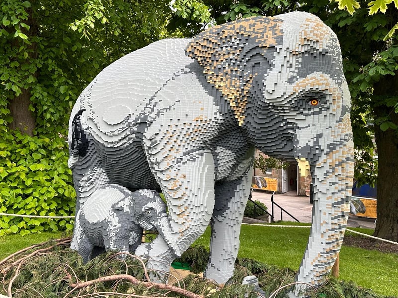 The African Elephant and its calf is one of the largest models in the exhibition - requiring five builders to work 1,600 hours to complete. It is made from 149,071 bricks