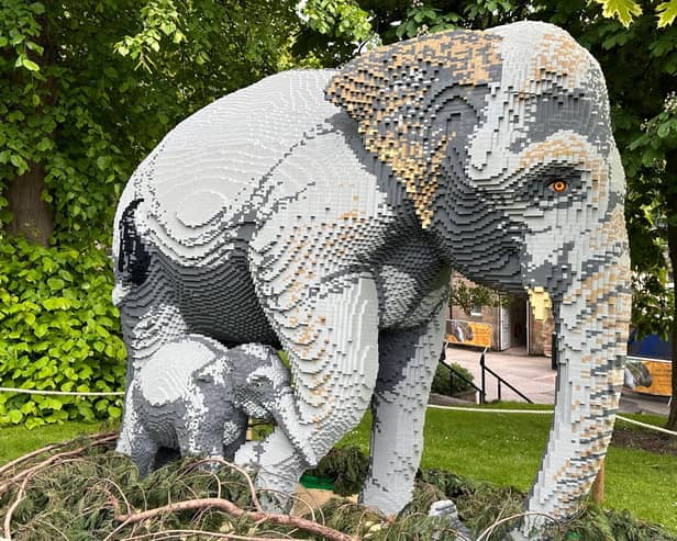 The African Elephant and its calf is one of the largest models in the exhibition - requiring five builders to work 1,600 hours to complete. It is made from 149,071 bricks