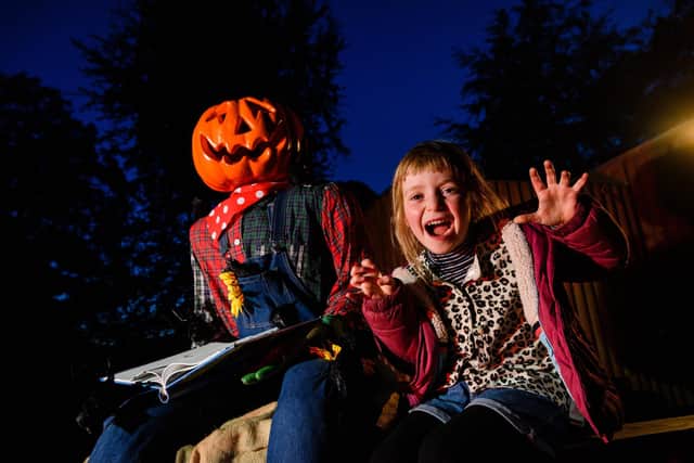 For the first time ever the Royal Zoological Society of Scotland is hosting a family friendly Halloween trail at Edinburgh Zoo.
In partnership with NL Productions, the team behind The Enchanted Forest in Pitlochry, the wildlife conservation charity will welcome guests on a spooktacular light trail on select evenings throughout October.
Visitors can listen out for a rustling amongst the trees and peeping eyes as visitors make their
way through the park, meeting lots of spooky characters from witches and wizards to scarecrows and spiders.
Tickets for Edinburgh Zoo Spooktakular are on sale now at edinburghzoo.org.uk/halloween.