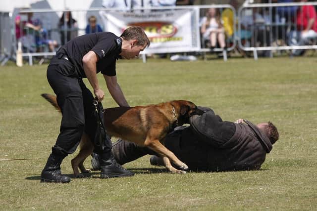 Police dogs are trained to deal with thugs like Brian Mallon
