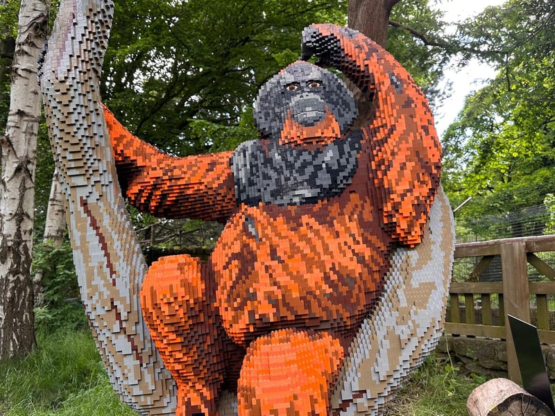 This cheeky chappy, who weighs 212kg can be spotted close to the entrance of the zoo. The model took four builders 180 hours to complete