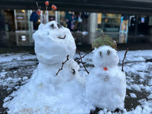 Some Edinburgh locals spent their morning making these cute miniature snowmen.