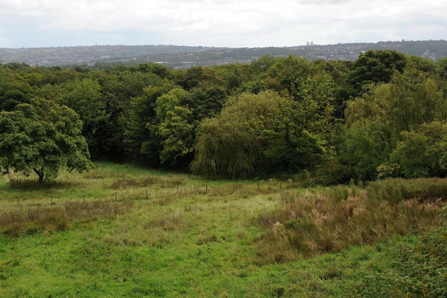 Ecclesall Woods, off Abbey Lane, is the largest ancient semi-natural woodland in South Yorkshire.