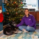 ​Animal behaviourist Claire Haynes has lots of advice for pet owners.