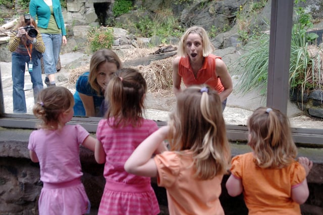 Janis Claxton Dance presented a new durational dance piece exploring the nature of the animal within us all.  Five humans acted like animals in an enclosure at Edinburgh Zoo, as part of the Dance Base Fringe programme in 2008.