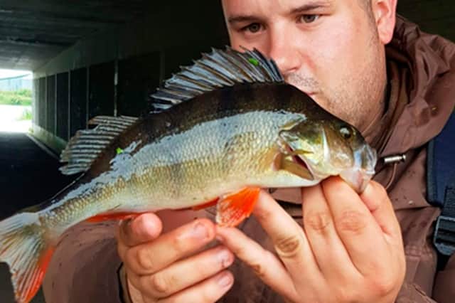 Colin Smith with a perch caught in the Union Canal.