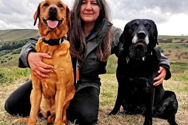 Rachel Bean is giving this advice to Edinburgh dog owners - Animal News Agency