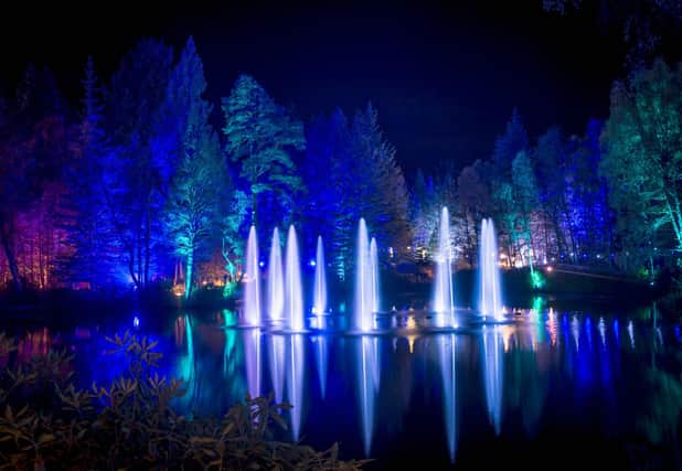 The Enchanted Forest is one of Scotland's most popular light shows (Picture: VisitScotland/Kenny Lam)