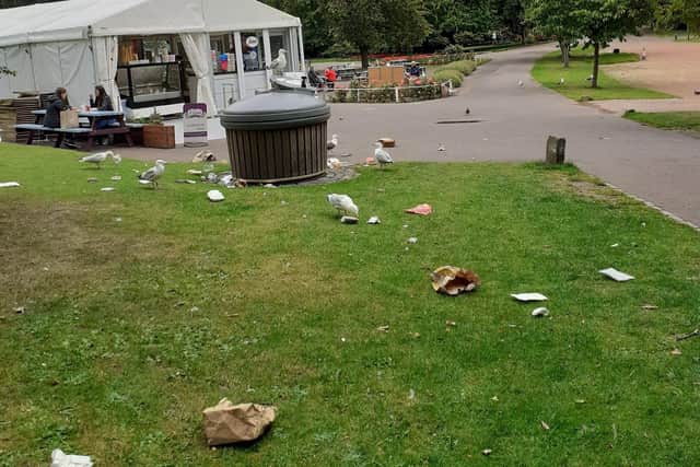 The rubbish left behind in Princes Street Gardens. Pic: Calum Duncan