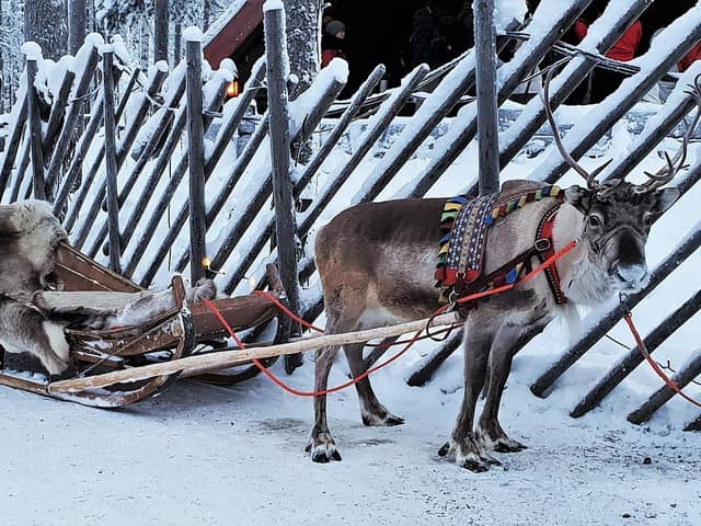 EasyJet announced new flights out of Edinburgh for 2024 – including Rovaniemi, the gateway to Lapland. Photo: Pixabay