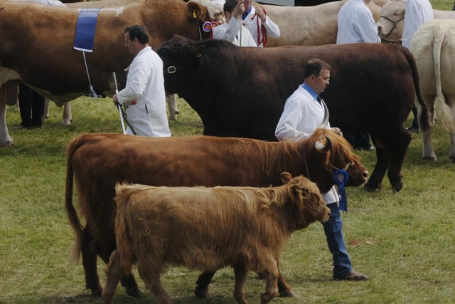 The grand finale parade of livestock at the Royal Highland Show in 2006.