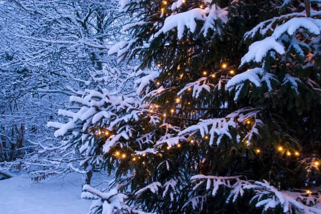 We're all hoping for a white Christmas and it seems to be more likely in Edinburgh than anywhere else in the UK. Photo: FrankvandenBergh / Getty Images / Canva Pro.