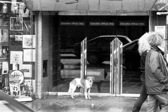 A lone dog waits outside a Princes Street shop during the Boxing Day sales in Edinburgh 1987.