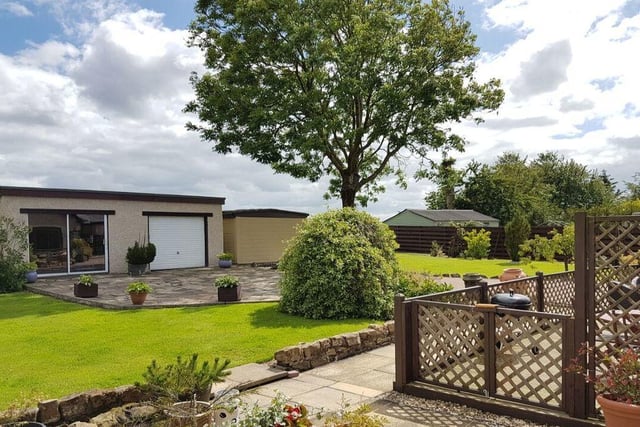 The rear garden has been mainly laid to lawn but boasts its very own mature tree too.