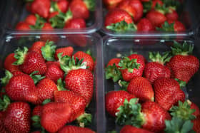 The firm sold more than 3.6 million punnets of its premium AVA strawberries during this year’s season, up almost 700,000 on last year (file image). Picture: Daniel Leal-Olivas/AFP via Getty Images.