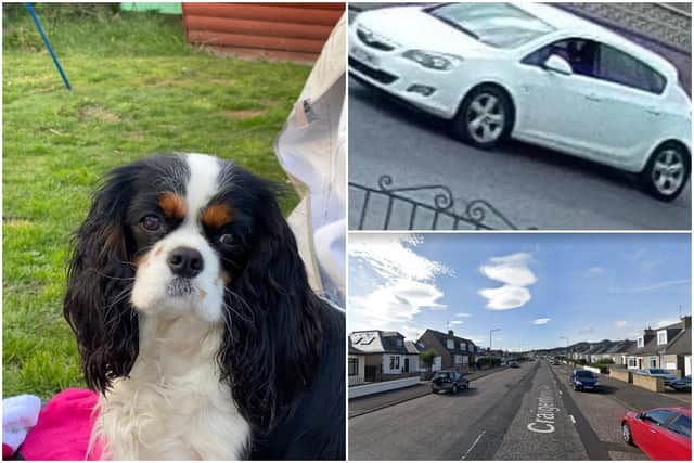Bo, 2, was left 'lifeless' in Craigentinny Avenue, Edinburgh after being hit by a car