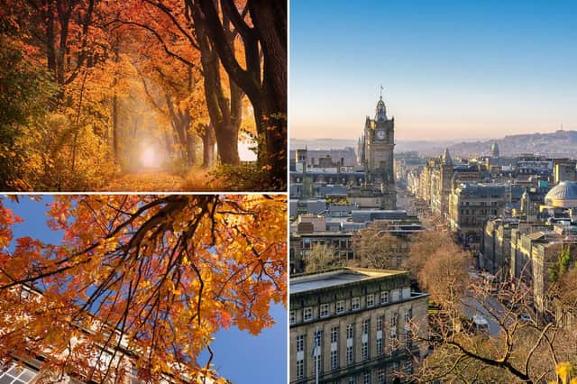 The best autumn walks in Edinburgh, as recommended by our readers (Getty Images)