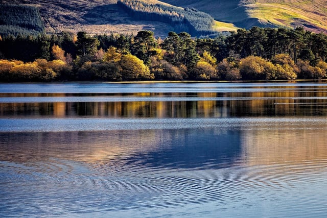 Gladhouse Reservoir is the largest area of freshwater in the Lothians. It can be found about five miles south of Penicuik, Midlothian, around a 45 minute drive from the city centre. It has two islands and is stocked with brown trout. Be aware there is no official car park here.
