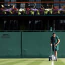Wimbledon about as exciting as watching paint dry, reckons Susan Dalgety