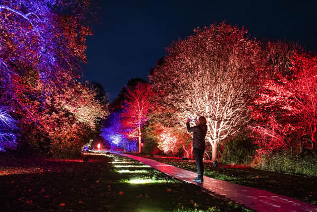 The 2km light trail is the first to use the woodlands that surround the stately home on the outskirts of Edinburgh, and is open to visitors until November 15.