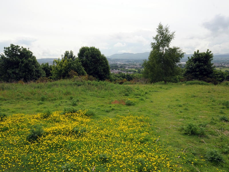 Corstorphine Hill is a low ridge-shaped hill rising above the western suburbs of Edinburgh. Perfect for a nice walk, it offers views of the city and has a walled garden and Corstorphine Hill Tower, which was built 150 years ago as a memorial to Sir Walter Scott. Photo by Jane Barlow.