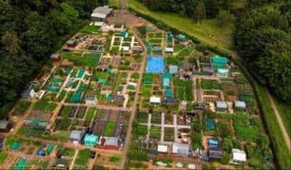 Allotments like these may be the way to stem food shortages