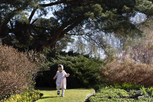 Eighteen-month-old Sophia-Grace Toner runs through the Royal Botanic Garden Edinburgh on the day that the National Lottery Heritage Fund announces an award of £4 million to restore the iconic glasshouses