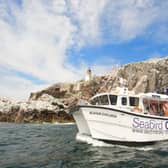 Unlike the high-speed, wave-skimming RIBs (Rigid Inflatable Boats) used for some trips, the Seabird Cruise catamaran has been custom-built for a family-friendly experience for all ages