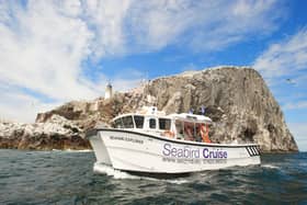 Unlike the high-speed, wave-skimming RIBs (Rigid Inflatable Boats) used for some trips, the Seabird Cruise catamaran has been custom-built for a family-friendly experience for all ages