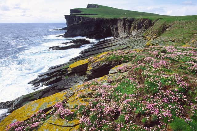 NatureScot has announced its national nature reserve on the Isle of Noss in Shetland will be closed to the public from 1 July in a bid to curb the spread of deadly avian flu, which is killing huge numbers of seabirds in Scotland. Picture: Lorne Gill/NatureScot