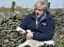 Boris Johnson, seen feeding a lamb at Moor Farm in Stoney Middleton, England, is a serial embarrassment, says Angus Robertson (Picture: Rui Vieira/AP)