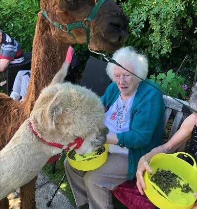Resident Marjory Davidson, 92, has lived at Aaron House for seven months and loves the home’s Silkies. “I love to sit outside in the garden and watch them,” she says. “We’ve got stunning views, the gardens are lovely and the chickens are a wee treasure.”