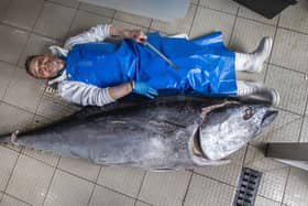 Willian Elliot from Eddie's Seafood Market in Edinburgh with a giant seven foot bluefin tuna weighing in at 150kg. June 14 2022  See SWNS story SWSCtuna.  A fishmonger has taken delivery of this mammoth catch â€“ a 7ft bluefin tuna tipping the scales at a whopping 150kg which is worth thousands.  Campbell Mickel, 51, got the rare fish today (Tue) after buying it from traders in Barcelona on Friday - and said he was so excited he couldn't sleep.  It arrived in the UK yesterday and was transported to Eddieâ€™s Seafood Market, Edinburgh, overnight.  It took four guys to haul the huge tuna onto the window display at the fish market - and Campbell said he will have to fillet it in on the floor as it doesn't fit on the counter.  Campbell said he would not normally advocate eating bluefin tuna but said the 7ft fish was farmed rather than caught in the wild. 
