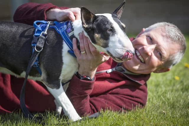 He also posed with an English bull terrier during a visit to the Edinburgh Dog and Cat Home.