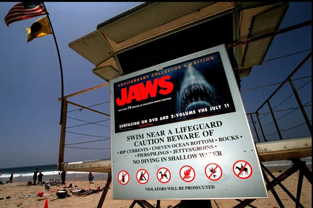 Some beaches in the US come with dangers thankfully not found in Scotland's waters (Picture: Dan Callister/Newsmakers).