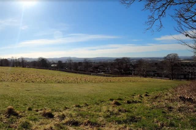The views from a walk around Corstorphine Hill. Picture: Ruairidh Mason