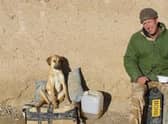 Former Royal Marine Pen Farthing set up an animal rescue centre in Afghanistan. He and his team are now trying to leave the country with their animals.