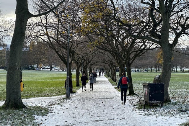 The Meadows looked extra magical this morning, although locals had to be careful on the frosty paths!