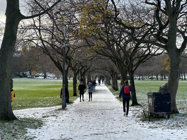 The Meadows looked extra magical this morning, although locals had to be careful on the frosty paths!